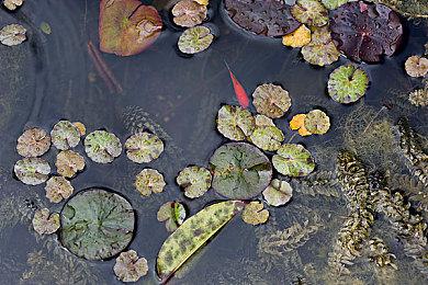 《最终幻想7：重制版》新高清材质包 画面提升